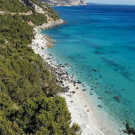 Il Lentischio
